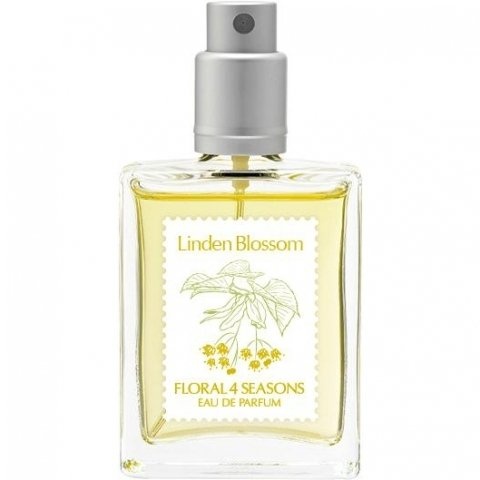 Linden Blossom 菩提樹の花