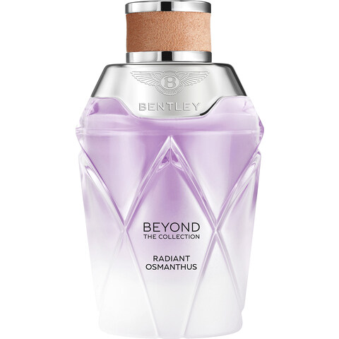 Beyond The Collection - Radiant Osmanthus