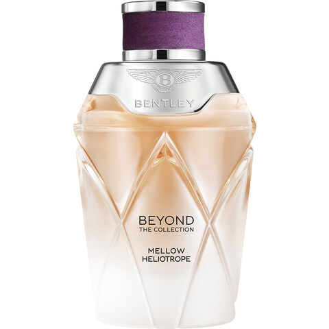 Beyond The Collection - Mellow Heliotrope